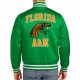 FAMU Full-Snap Satin Bomber Jacket